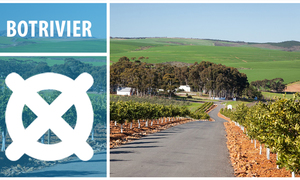 Botrivier - A Gateway to Adventure