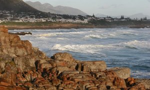 History Facts about Hermanus