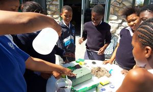 Wetlands Day - 02 February 2017