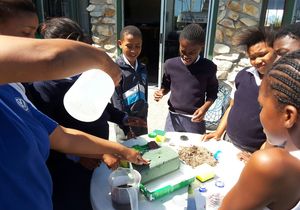 Wetlands Day - 02 February 2017