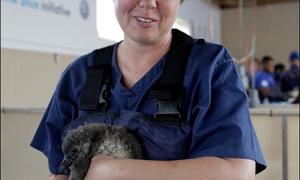 A dream fulfilled - full  time with penguins