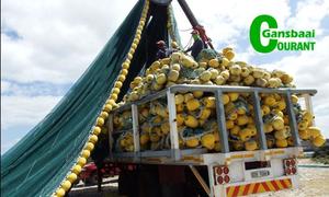 VroeÃ«r visnet â€˜boetâ€™ dui rustyd aan