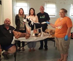 Noodhulp vir troeteldiere