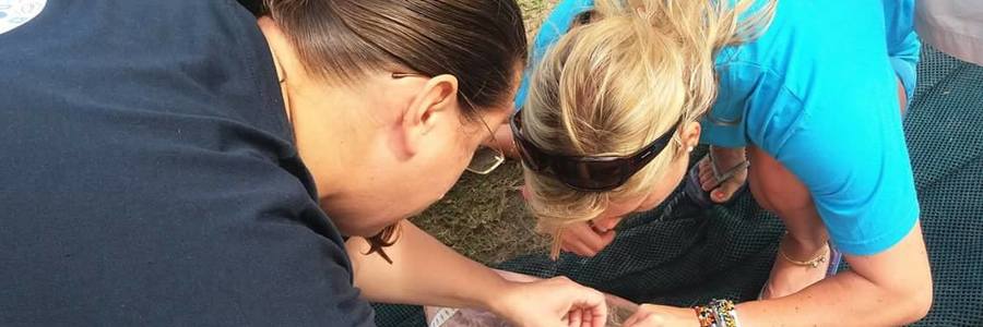 16602032_10155020849437520_4841529349398733575_o