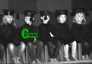 Gansies hou karnaval