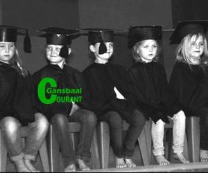 Gansies hou karnaval