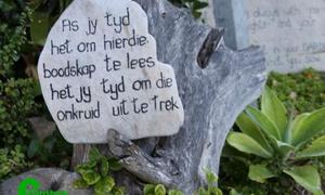 As jy dit nog kan geniet, waardeer dit