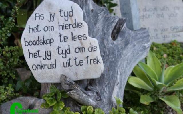 Dis wanneer jy see toe gaan en jou vrou by die huis los,dat sy tyd kry om klippe soos diÃ© te verf.