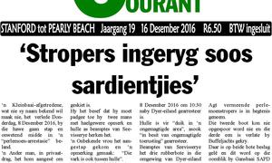 â€˜Stropers ingeryg soos sardientjiesâ€™