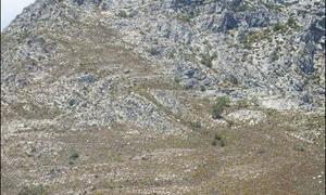 Gansbaai-berg verwelkom ons gaste