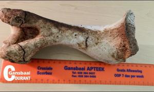 Wie se been lÃª op begraafplaasmuur?