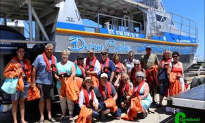 Rare sonvis opgemerk