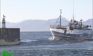 â€œU troue liefde is meer werd as die leweâ€ - Ons sÃª sommer net dankie