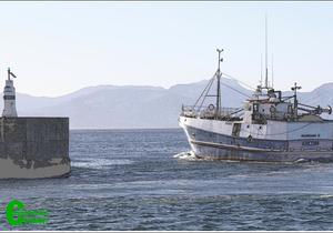 â€œU troue liefde is meer werd as die leweâ€ - Ons sÃª sommer net dankie