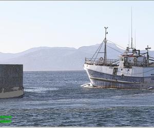 â€œU troue liefde is meer werd as die leweâ€ - Ons sÃª sommer net dankie