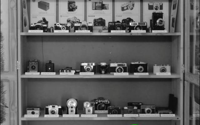  â€˜n Geheelbeeld van die verskeidenheid  van  veteraan kameras en lense wat in Gansbaai Toerisme se uitstallingslokaal te siene is. 