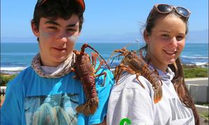 Ons kinders lÃ©Ã©f die see