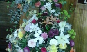 Groepsvorming teenoor eensgesindheid