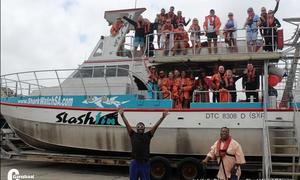 Comedian on Shark Cage Trip