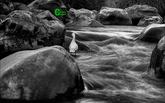 â€˜n Uitstekende foto van lopende water wat deur Robert Johnson geneem is.  Hy het ure-lank halflyf in die water gestaan vir die regte oomblik. 