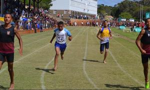 Sharkies bring beker huis toe