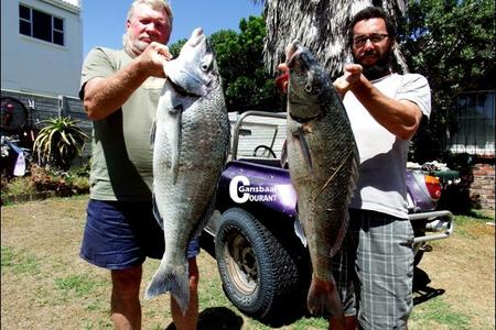 Die 2 steenbrasknewels op die foto isÂ  deur Bennie Walker (links) en sy seun, Gerald van De Kelders uitgetrek.Â  Die twee manne het Sondag, 5 Februarie 2017 elk â€˜n enorme steenbras met steurgarnale as aas by Die Plaat, De Kelders kant toe gebring. Pa Bennie spog met â€˜n 9kg steenbras en seun Gerald met â€˜n 8kg steenbras.Â  Dit is die eerste steenbras van hierdie grootte wat die jongman gevang het. â€‹