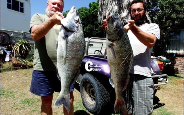 Die 2 steenbrasknewels op die foto isÂ  deur Bennie Walker (links) en sy seun, Gerald van De Kelders uitgetrek.Â  Die twee manne het Sondag, 5 Februarie 2017 elk â€˜n enorme steenbras met steurgarnale as aas by Die Plaat, De Kelders kant toe gebring. Pa Bennie spog met â€˜n 9kg steenbras en seun Gerald met â€˜n 8kg steenbras.Â  Dit is die eerste steenbras van hierdie grootte wat die jongman gevang het. â€‹