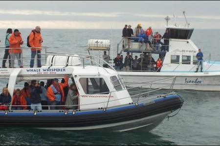 A previous seremony of the tragic event.