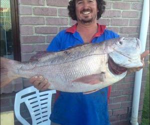 Rooisteenbras en geelstert rekords spat in die Suidlig kompetisie