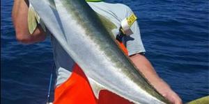 Die nuwe rekord van 13.99kg vir â€˜n geelstert is deur Tim Twine tydens die Suidlig boothengelkompetisie te Struisbaai ingepalm.