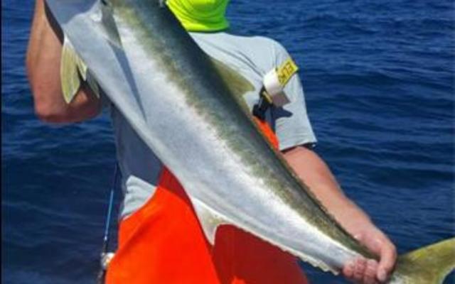 Die nuwe rekord van 13.99kg vir â€˜n geelstert is deur Tim Twine tydens die Suidlig boothengelkompetisie te Struisbaai ingepalm.