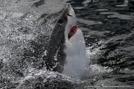 20170304_SF_Trip1_KBaker_IMG_21