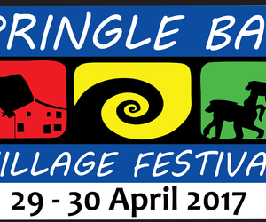 Pretty Cool Events in Pringle Bay