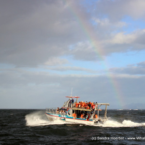 20170225_DC_Trip_SHoerbst_IMG_15