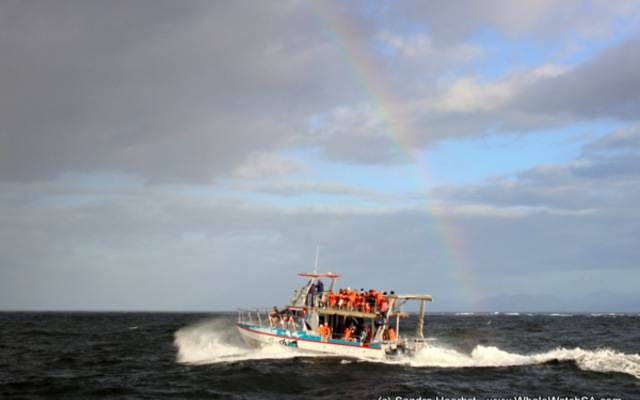 20170225_DC_Trip_SHoerbst_IMG_15