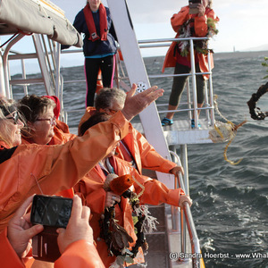 20170225_DC_Trip_SHoerbst_IMG_32