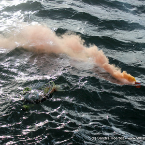 20170225_DC_Trip_SHoerbst_IMG_42