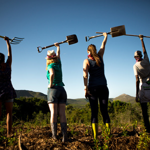 Join the TREEvolution!