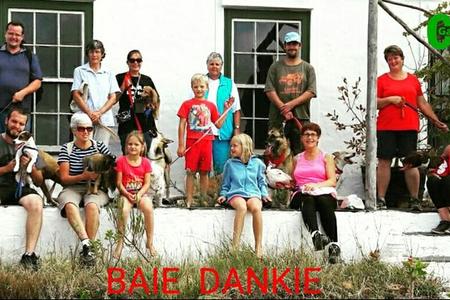 Die groepie diereliefhebbers, volwassenes en kinders, wat vrywillig BARC se honde op 11 Februarie vir â€˜n Valentynsdag-uitstappie na Groeneweide Kwekery gevat het.