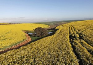 RiviersonderEnd hosts End in X Events