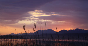 Greyton through the eyes of Locals â€“ Photo Journey