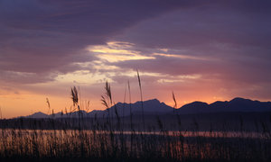 Greyton through the eyes of Locals â€“ Photo Journey