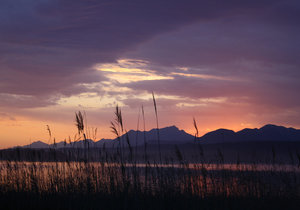 Greyton through the eyes of Locals â€“ Photo Journey