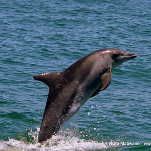 20131122_WW_Trip2_KMatiwane_IMG_0186