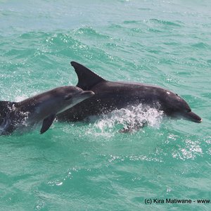 20131128_WW_Trip1_KMatiwane_IMG_0048