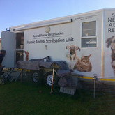 Free Sterilisation Campaign