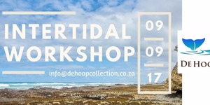 Intertidal Workshop (9 September 2017)