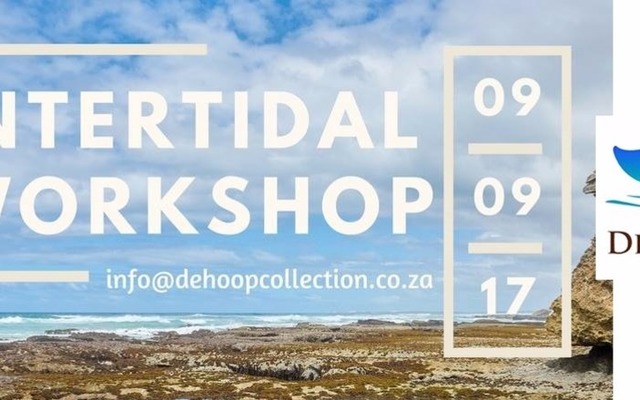 Intertidal Workshop (9 September 2017)