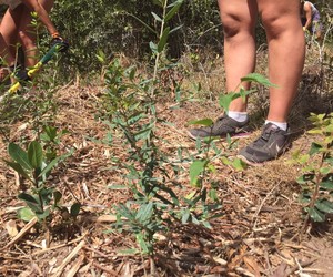 Mind, Body, Soul and Conservation at Platbos