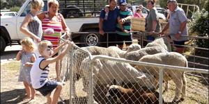 Japie en Jurie Swart wonder wie se skape is nou wie sâ€™n na die veiling by Baardskeerdersbos se NG Kerkbasaar. Volgens Cornie Swart wat as afslaer opgetree het, was die skape en varke van â€˜n hoÃ« gehalte en was hy baie tevrede met die pryse wat behaal is.